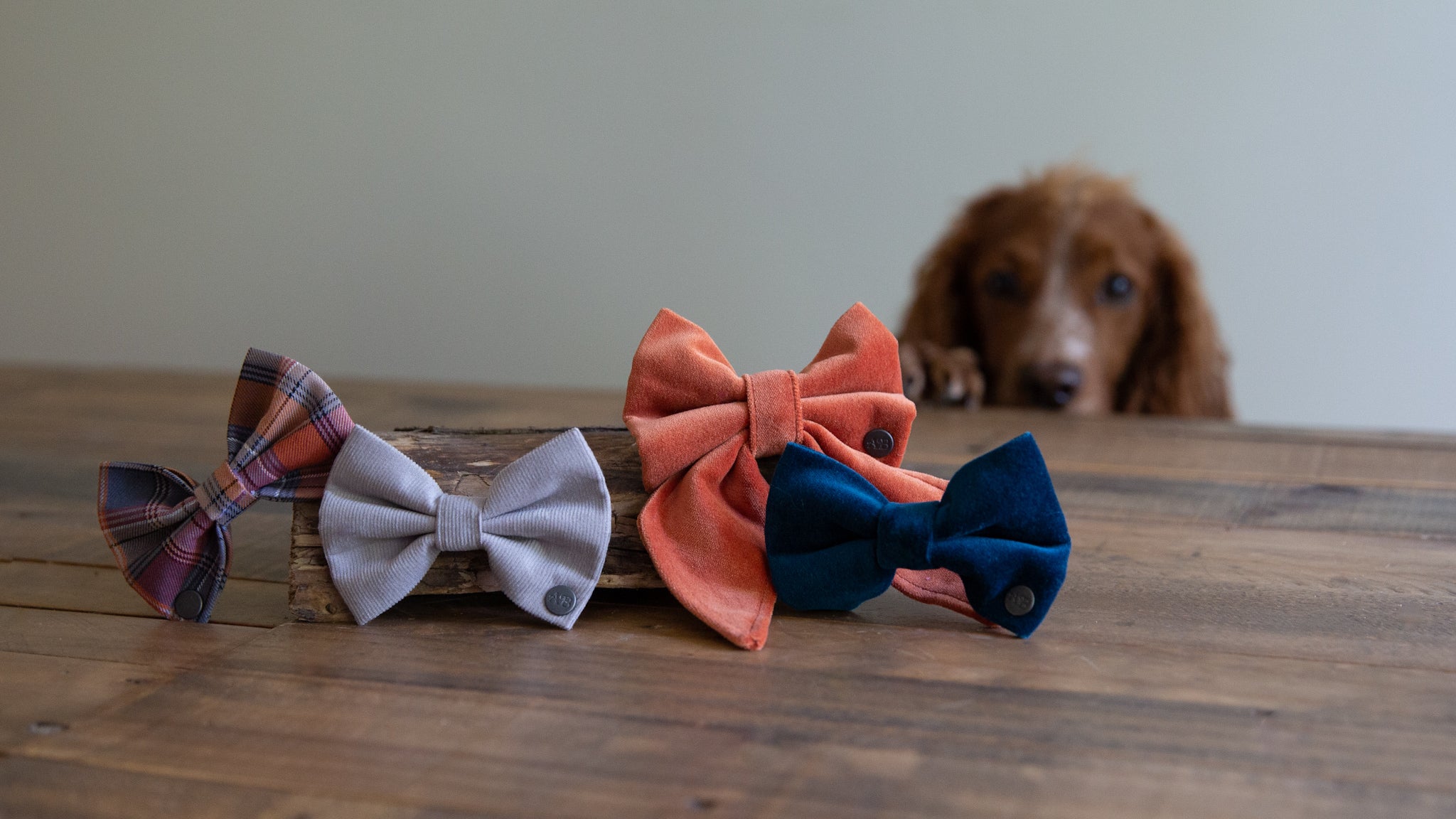 best dog bow ties