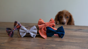 Dog Bow Ties