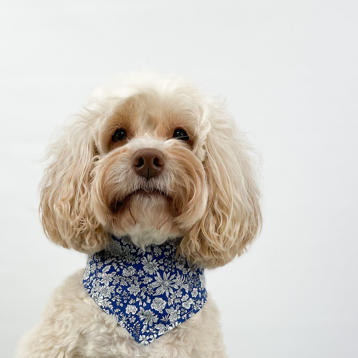 Liberty Blue Skies Dog Bandana