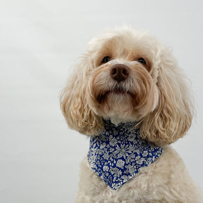 Liberty Blue Skies Dog Bandana