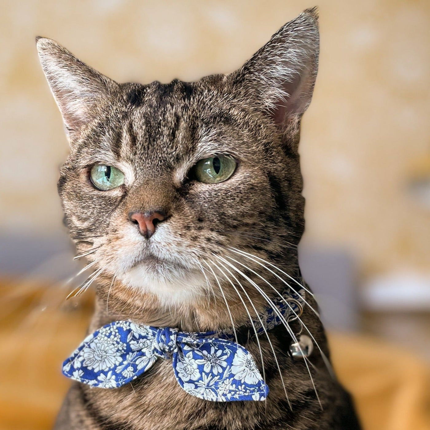 Blue Floral Liberty Cat Collar