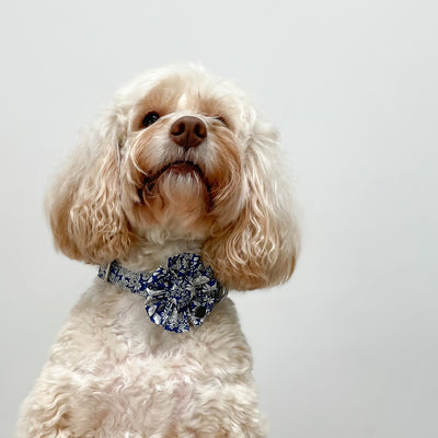 Liberty Blue Skies Dog Collar Flower Accessory