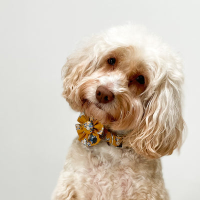 Liberty Summer Haze Dog Collar Flower Accessory