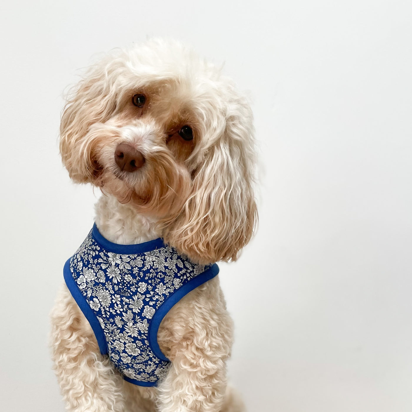 Liberty Blue Skies Soft Dog Harness