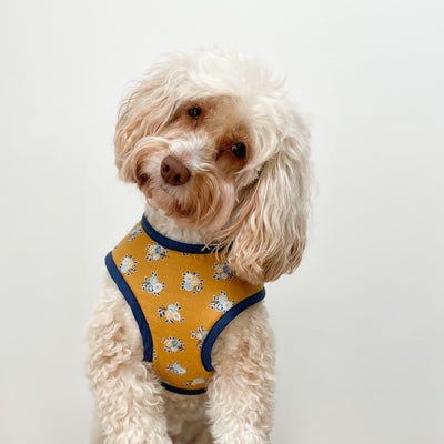 Liberty Summer Haze Soft Dog Harness