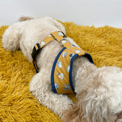 Liberty Summer Haze Soft Dog Harness