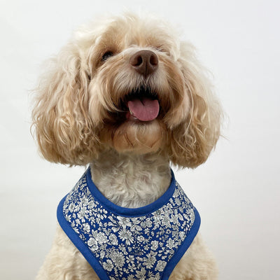 Liberty Blue Skies Soft Dog Harness