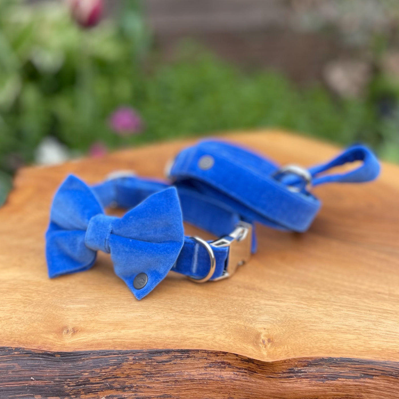 Luxury Cornflower Blue Velvet Dog Collar