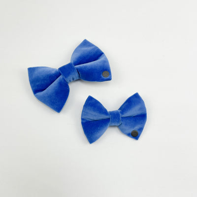 Luxury Cornflower Blue Velvet Dog Bow Tie