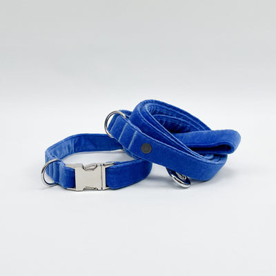Luxury Cornflower Blue Velvet Dog Lead