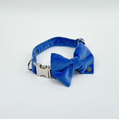 Luxury Cornflower Blue Velvet Dog Bow Tie