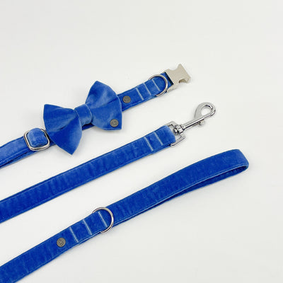 Luxury Cornflower Blue Velvet Dog Bow Tie