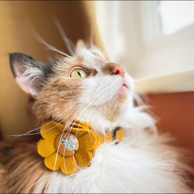 Cat Collar Flower Accessory in Yellow with Liberty Fabric Button