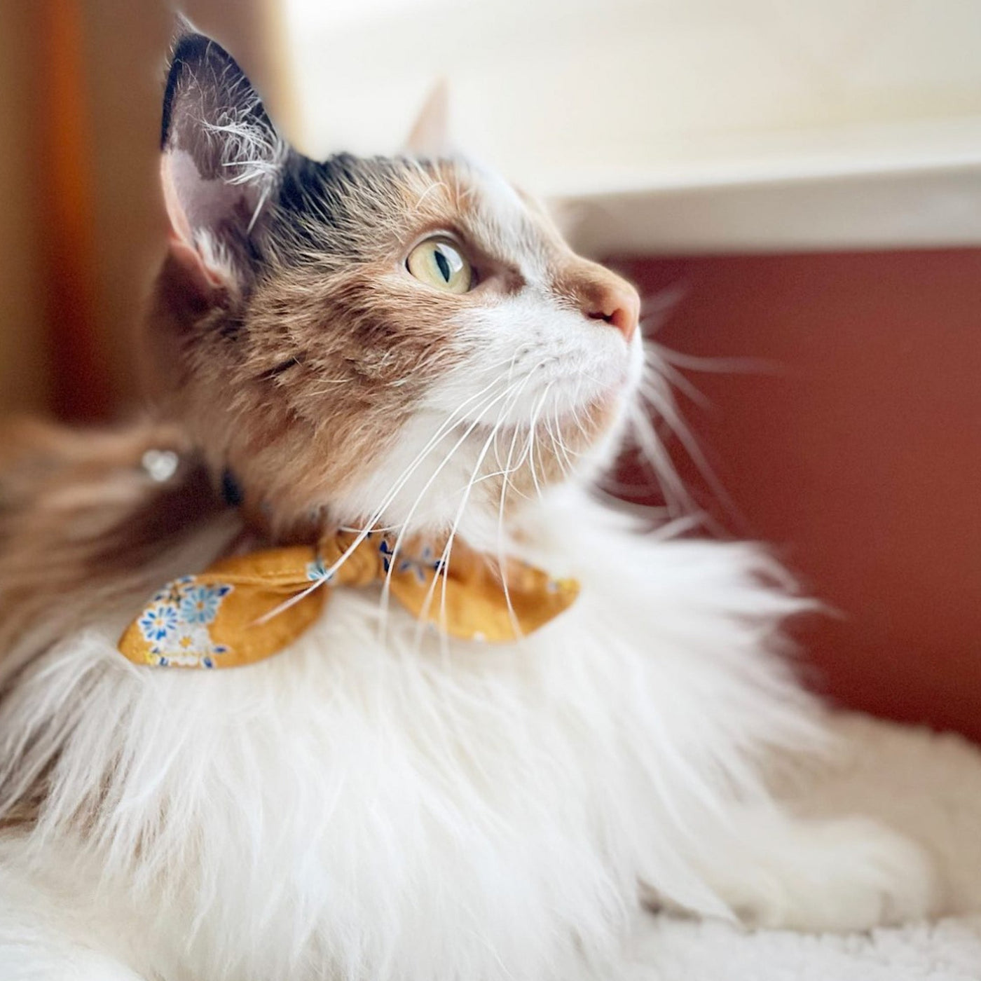 Yellow Floral Liberty Cat Collar