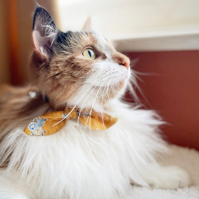 Yellow Floral Liberty Cat Collar