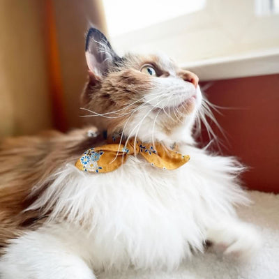 Yellow Floral Liberty Cat Collar