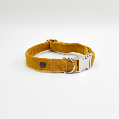 Luxury Golden Yellow Velvet Dog Collar