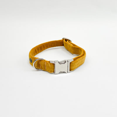Luxury Golden Yellow Velvet Dog Collar