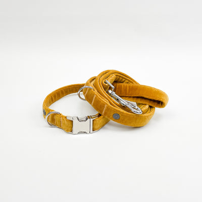 Luxury Golden Yellow Velvet Dog Lead