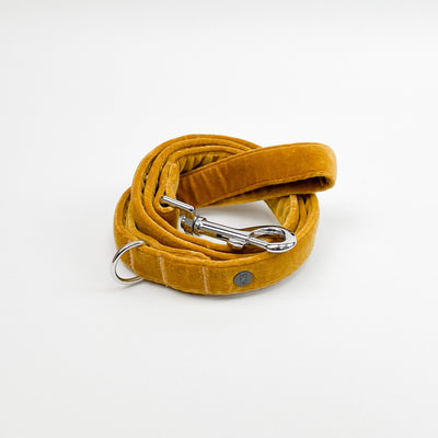 Luxury Golden Yellow Velvet Dog Lead