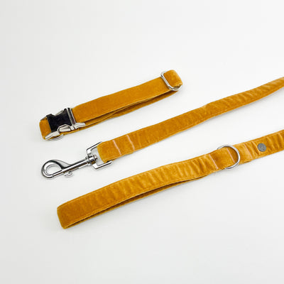 Luxury Golden Yellow Velvet Dog Collar