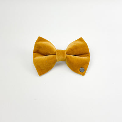 Luxury Golden Yellow Velvet Dog Bow Tie