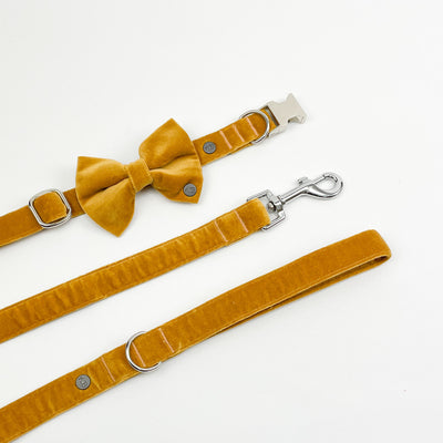 Luxury Golden Yellow Velvet Dog Collar