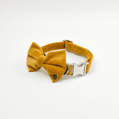 Luxury Golden Yellow Velvet Dog Bow Tie