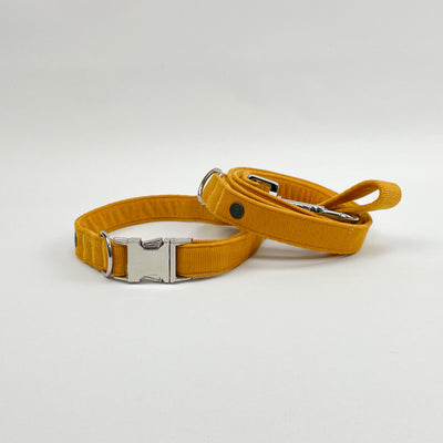 Mustard Yellow Corduroy Collar | Lead | Bow | Poop Bag Set