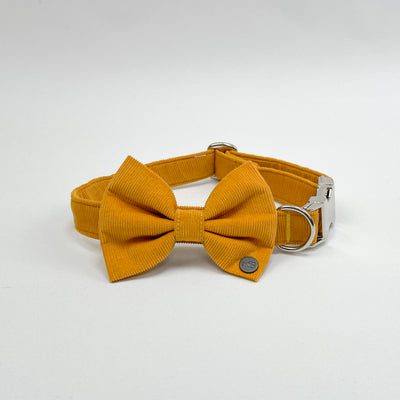 Mustard Yellow Corduroy Dog Collar