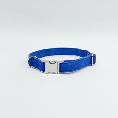 Royal Blue Corduroy Dog Collar