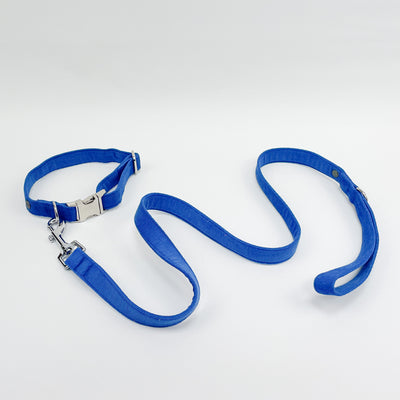 Royal Blue Corduroy Dog Collar