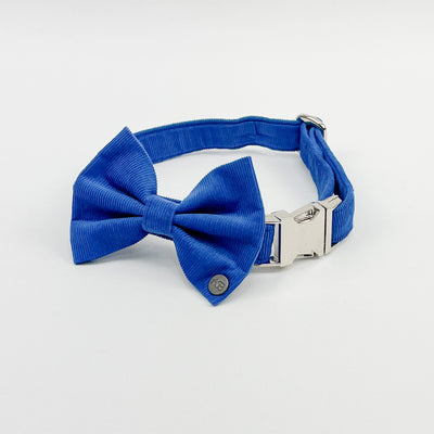 Royal Blue Corduroy Dog Bow Tie