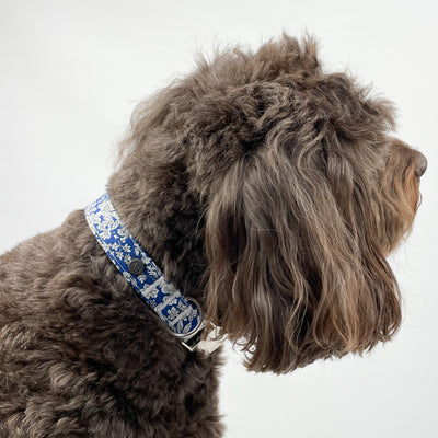 Liberty Blue Skies Dog Collar
