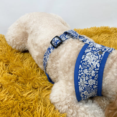 Liberty Blue Skies Soft Dog Harness