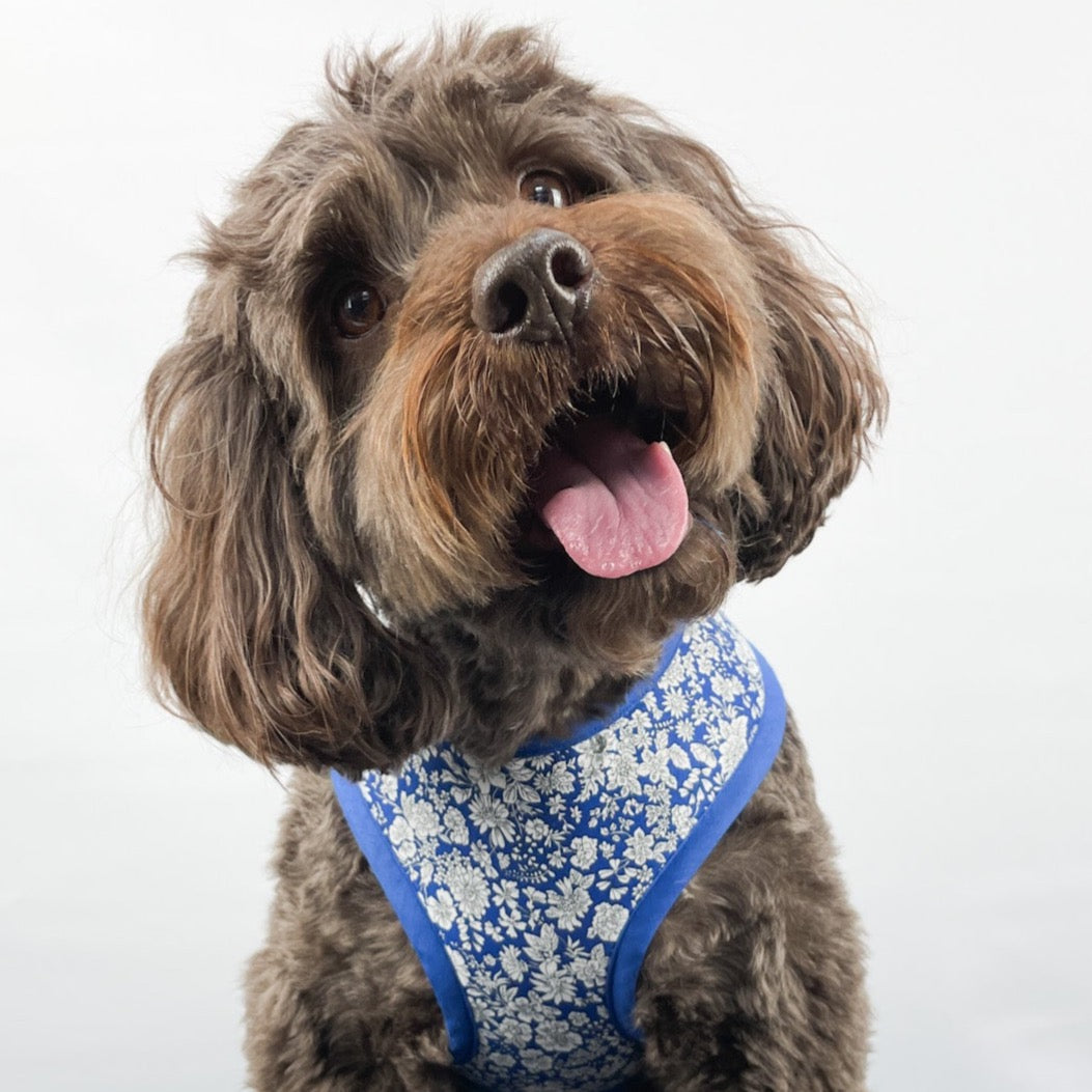 Liberty Blue Skies Soft Dog Harness