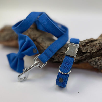 Royal Blue Corduroy Dog Lead