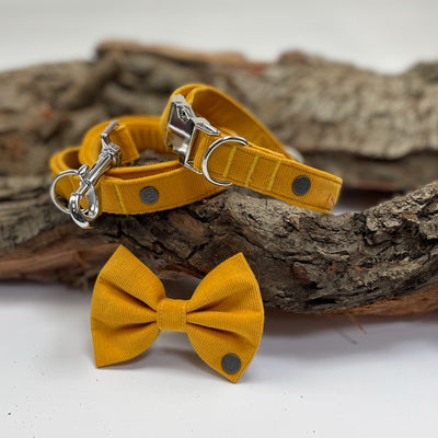 Mustard Yellow Corduroy Collar | Lead | Bow | Poop Bag Set