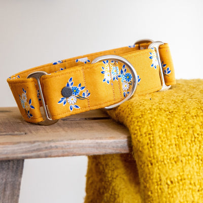 Liberty Summer Haze Martingale Dog Collar