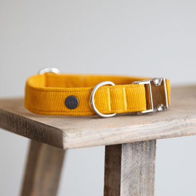 Mustard Yellow Corduroy Dog Collar