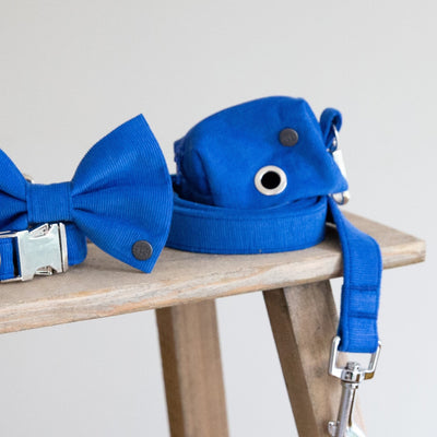 Royal Blue Corduroy Poop Bag Holder