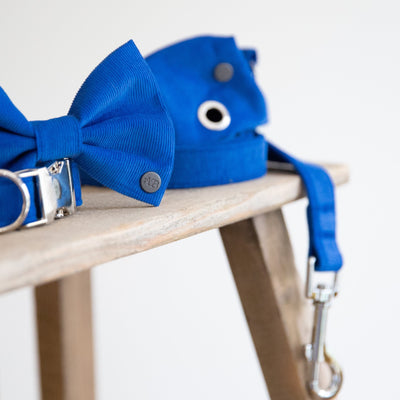 Royal Blue Corduroy Collar | Lead | Bow | Poop Bag Set