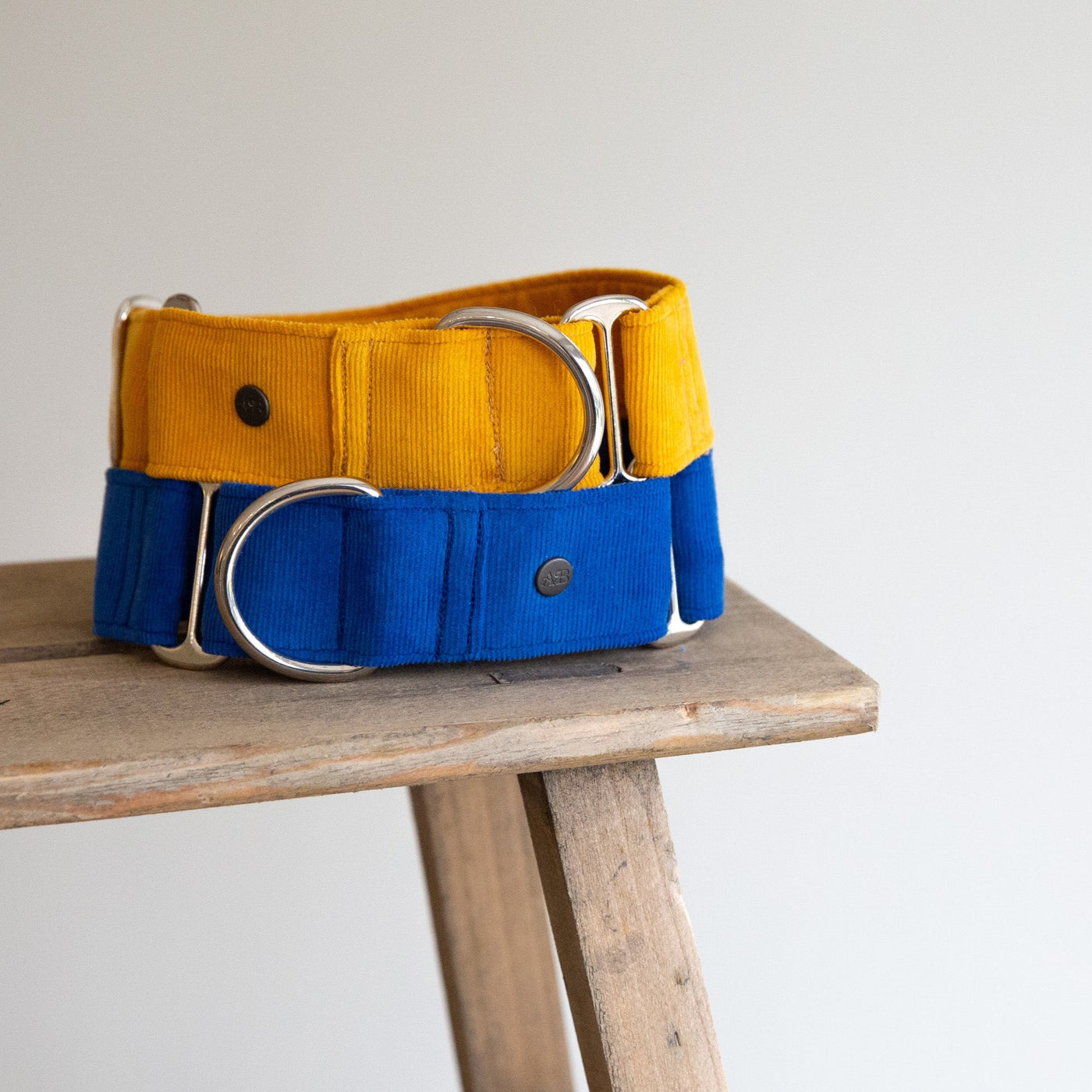 Mustard Yellow Corduroy Martingale Collar