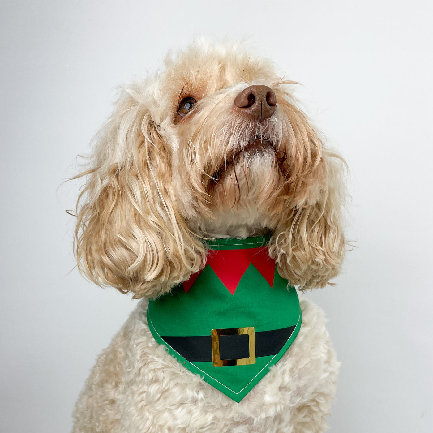 Fun Christmas Elf Dog Bandana