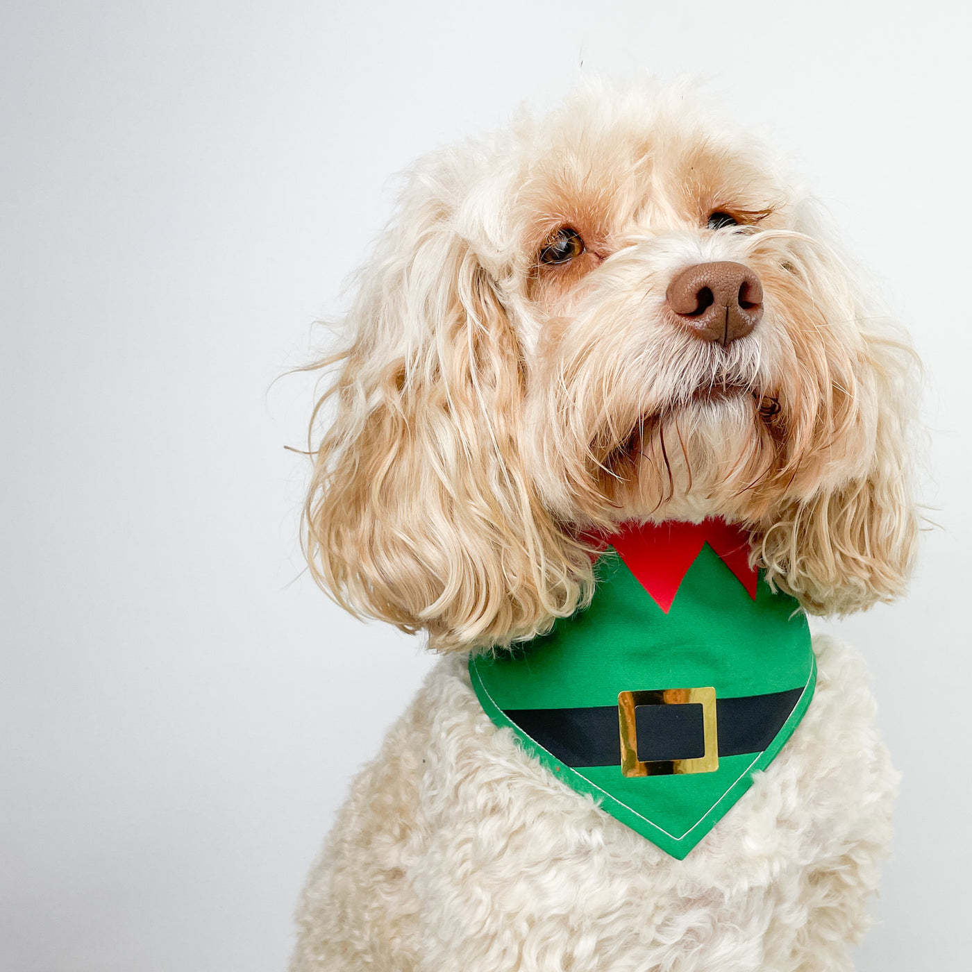 Fun Christmas Elf Dog Bandana