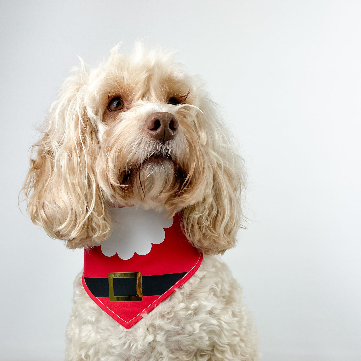 Fun Santa Christmas Bandana