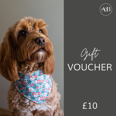 Albies Boutique Gift Card