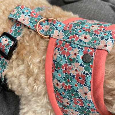 Liberty Winter floral soft dog harness close up with quality seal
