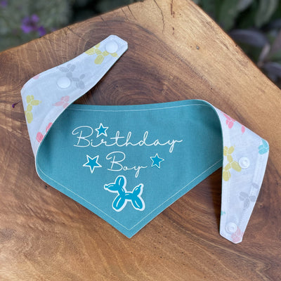 Teal blue Birthday Boy dog bandana with popper fixing.