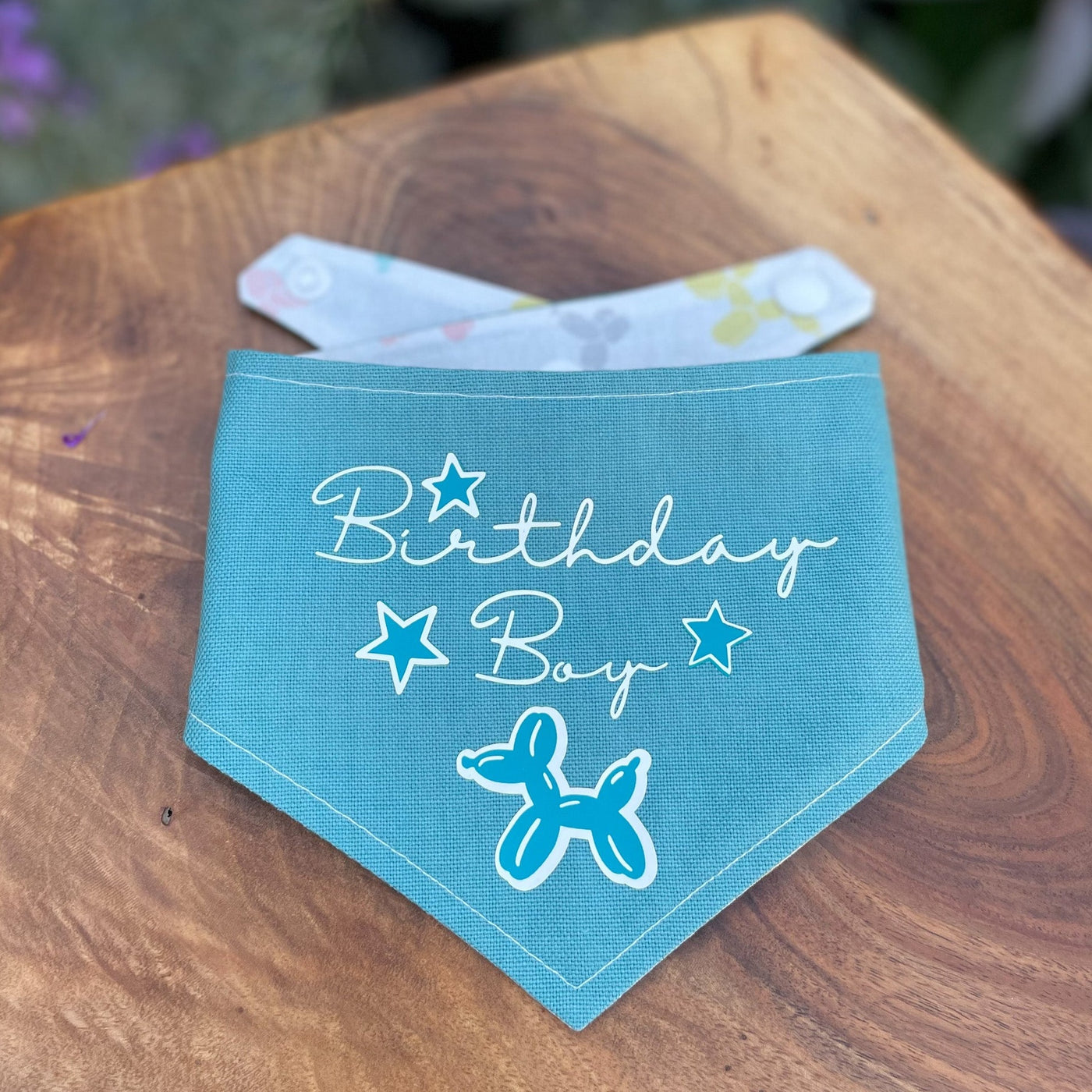 Teal blue Birthday Boy dog bandana.